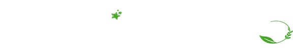 website footer